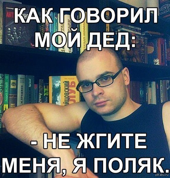 Дай я посигналю мем поляки