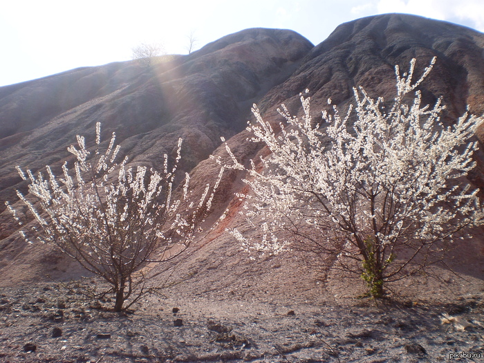 ���� ���������� � ������ �������