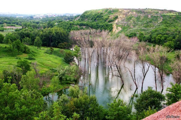 ����� ���� ��, �������� ��� ����� �� �����������)