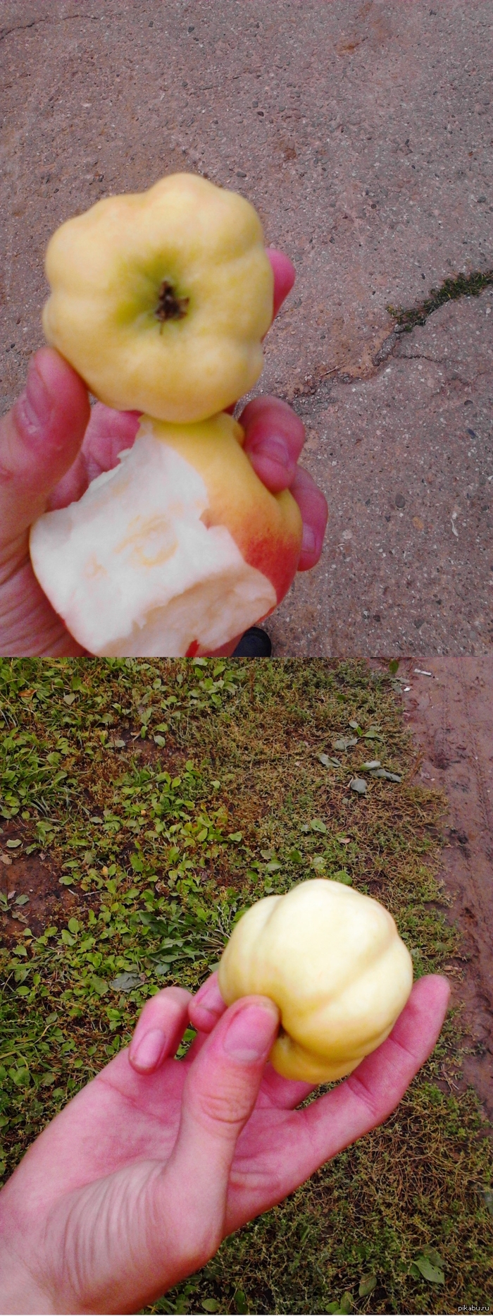 ������� �� � �������� � �������� ���, � ���...