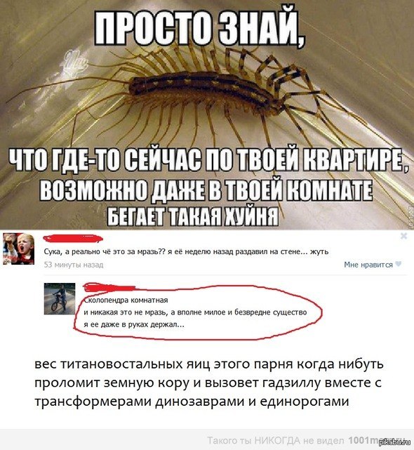 Сколопендра