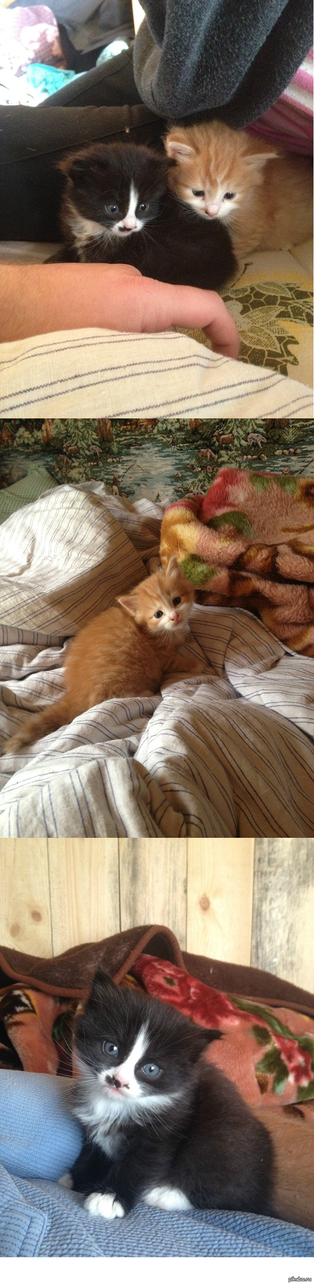 ����� ����������� ����� � ������� ����