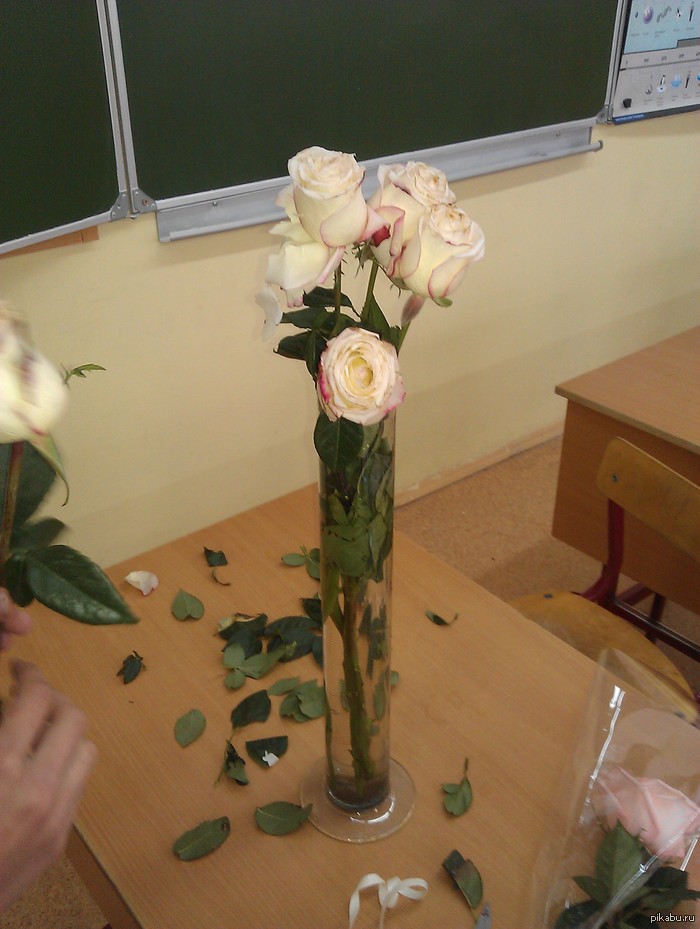 ������� ����������� �������!