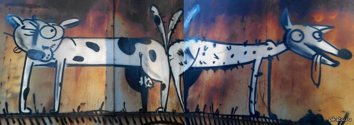 А это вижу я каждый день по пути в универ.