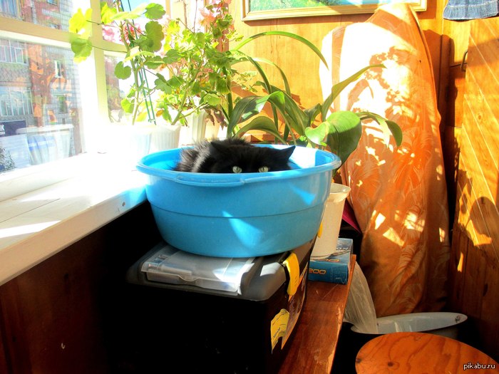 ���� ������...