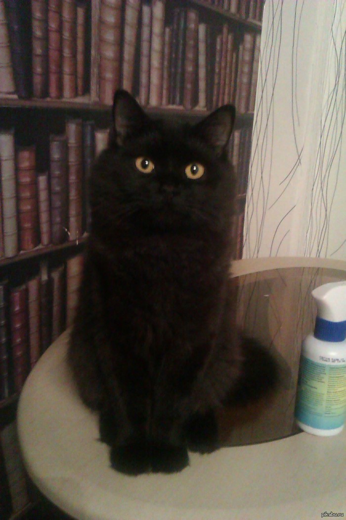 Случилось горе...