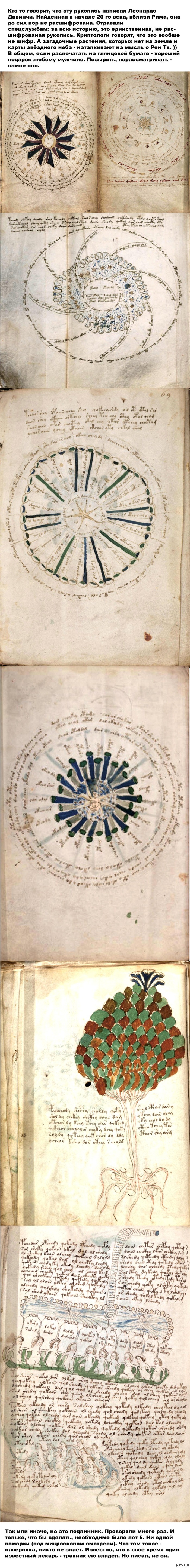 Рукопись Войнича: истории из жизни, советы, новости, юмор и картинки —  Лучшее | Пикабу