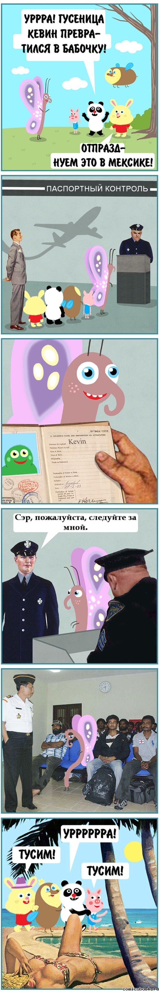 ���������� �������-������