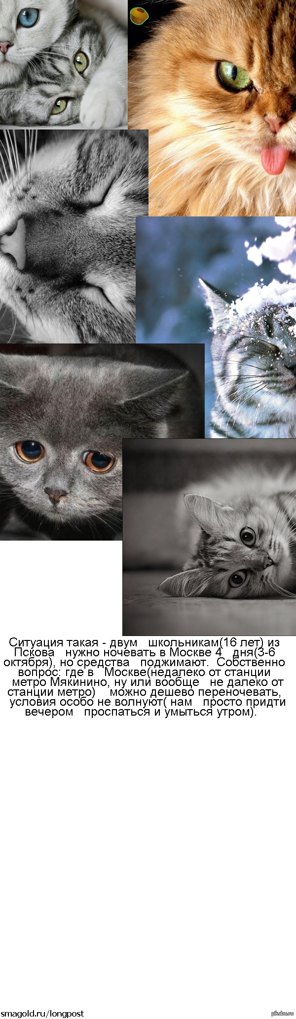 ����� ������ ������������-���������!!! ������� ��� ������� ������