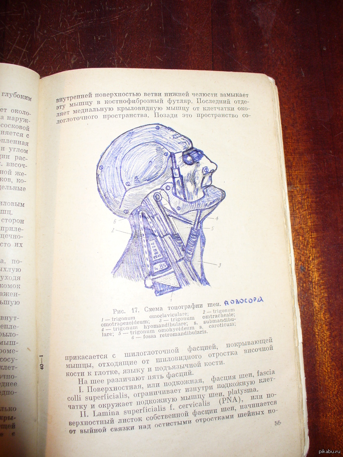 ����� ���������� ��� ��������