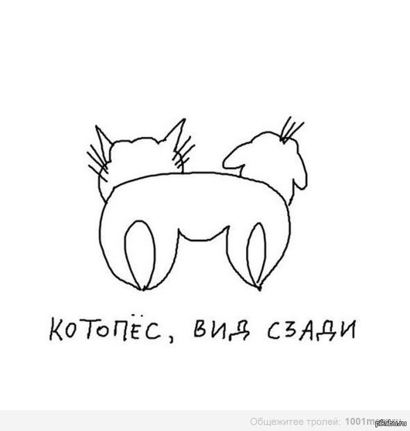 Я знаю , что я слоупок. Но всё же