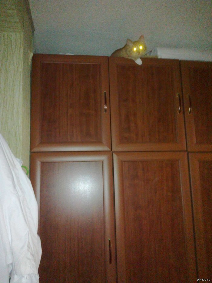 ����������� �����. ��� �� �����? � ���� �����...