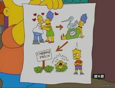 ��������� �������. ������ ����� ��������.