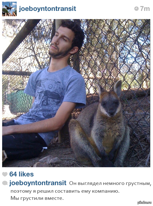 �� �������� ������.