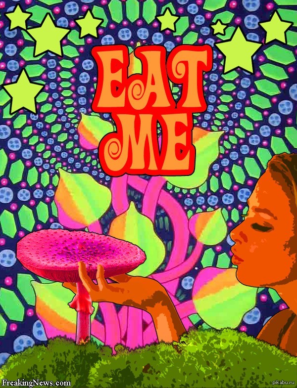 ����� ������ ������!