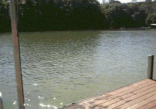 ������� ��-������!