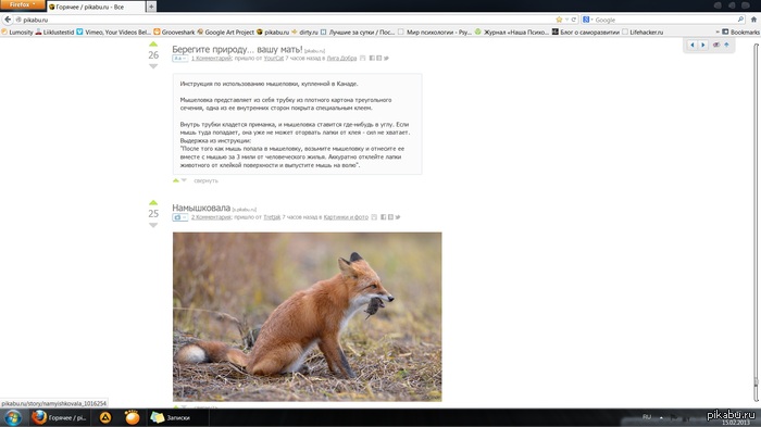 Ни капли фотошопа.
