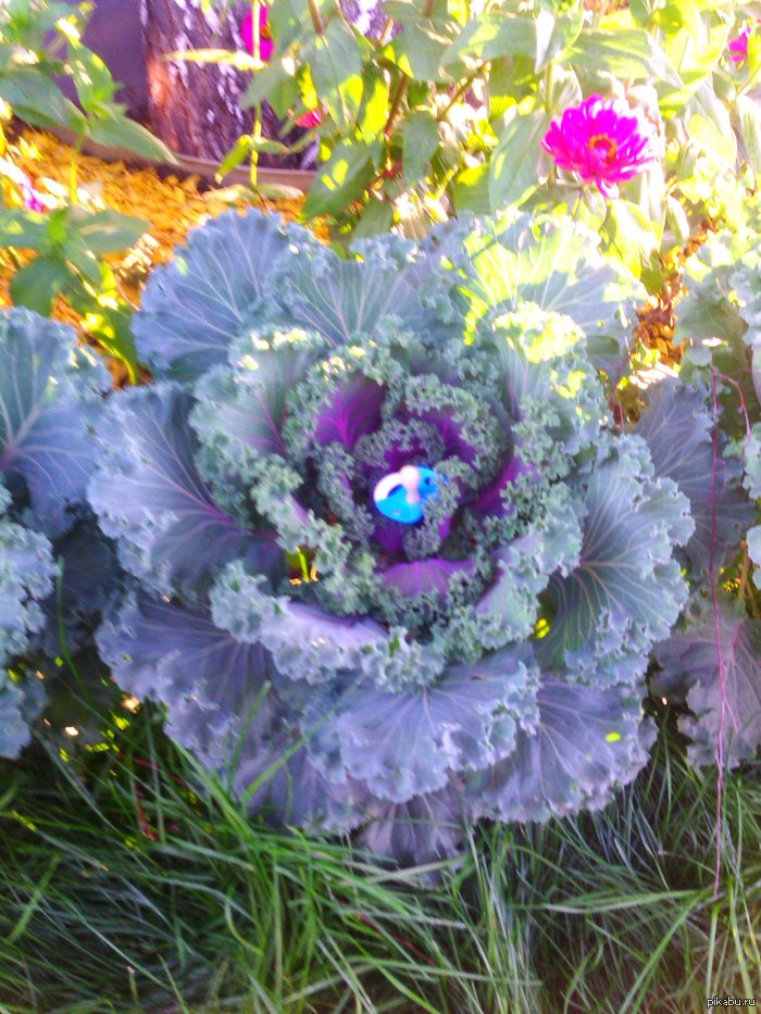 Получается.... папа с мамой были правы?!