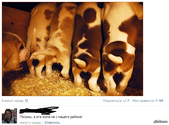 � ������ ������� ��� �����