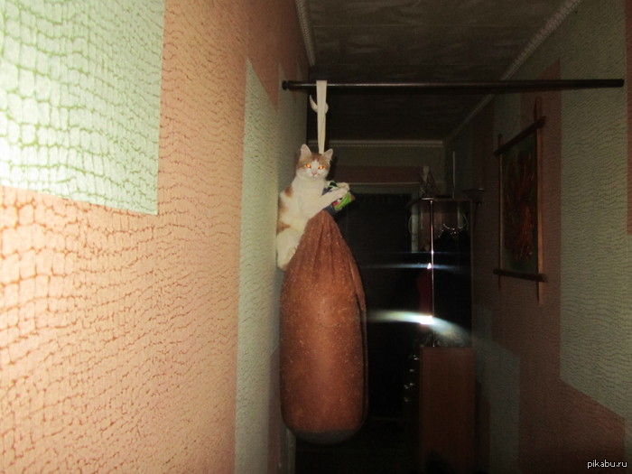 ��� ����� ��������