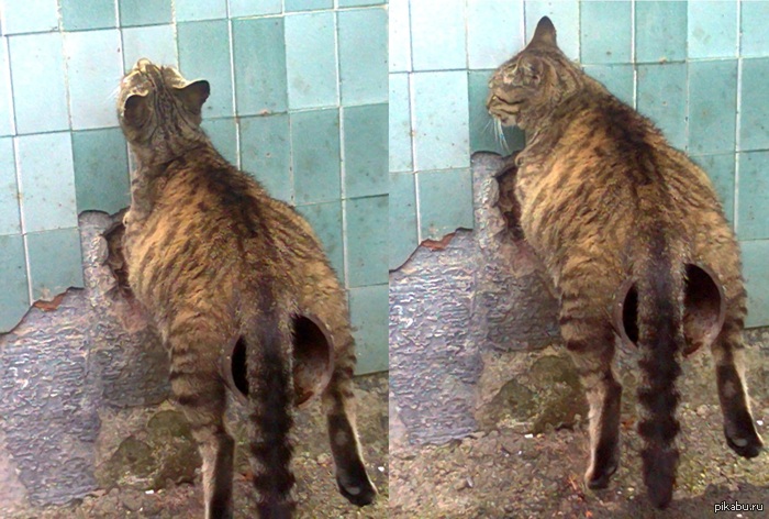 Предлагайте ваши идеи подписей :)