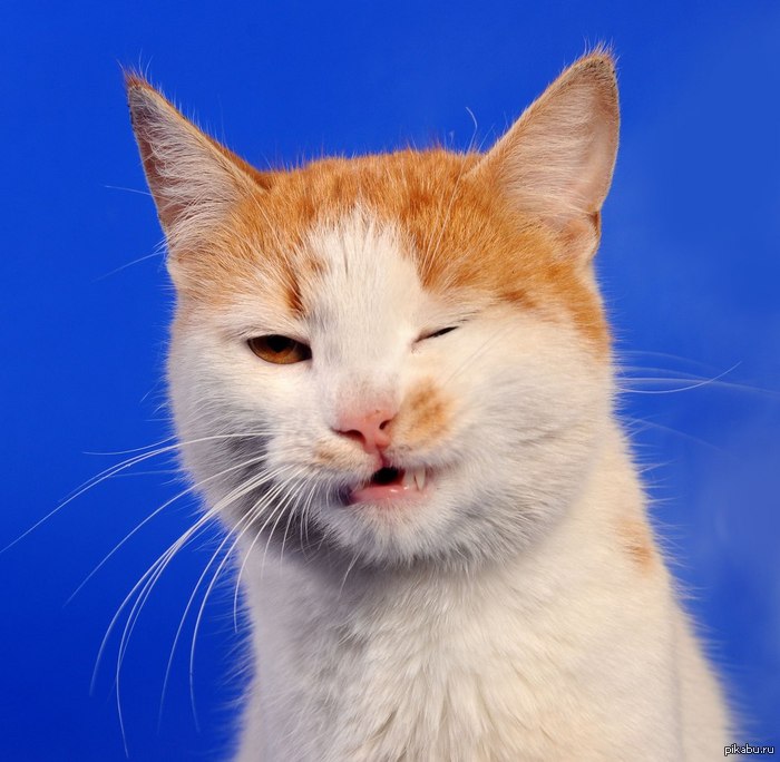 �������� ��������!