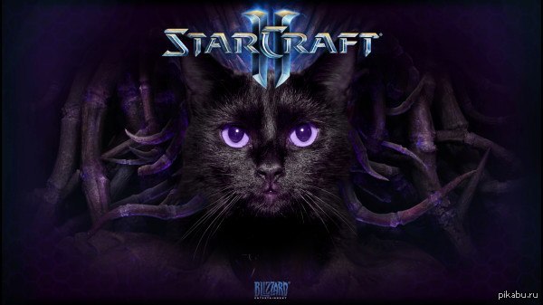 StarCraft 2  limited edition
