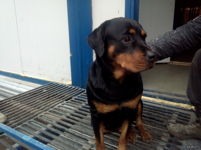 ������� ��������