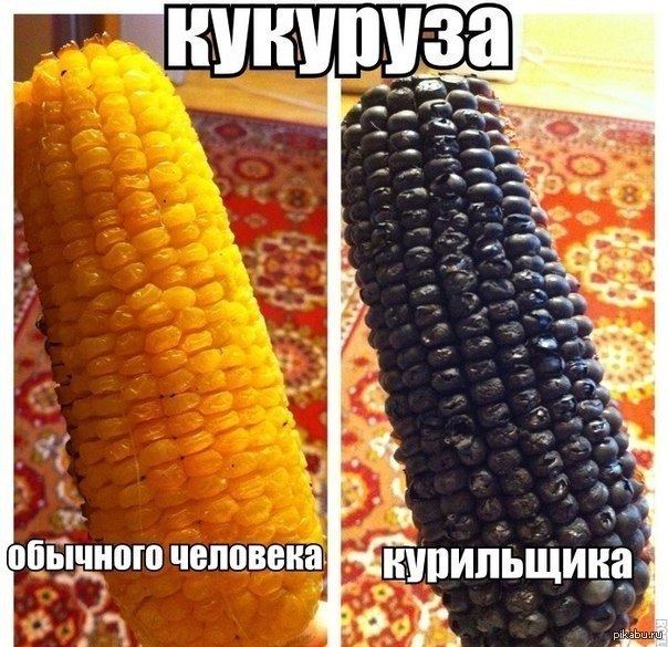 Антитабачная реклама на примере кукурузы)