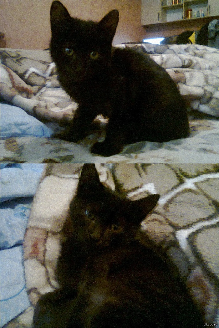 ��� ��� ������, ���������