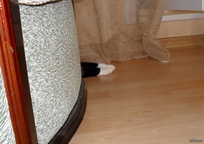 ��� ���������