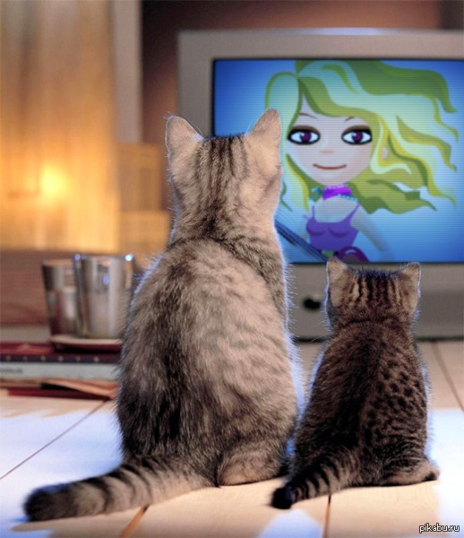 ���� ������������ ������