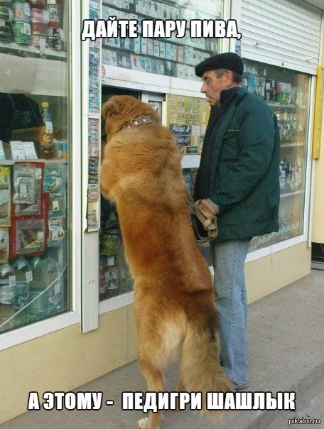 Обычный день,пес покупает себе пиво и хозяину покушать.
