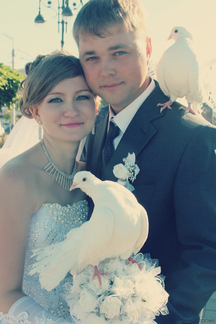 ���! ���� �����, ������� � ������!