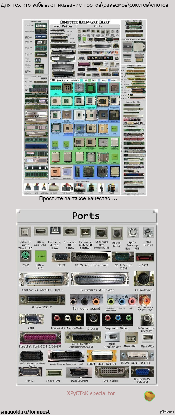 Computer Hardware Chart таблица компьютерных разъемов. Название портов. Типы разъемов ПК. Название портов на компьютере. Адреса порты сокеты