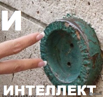 И Интеллект