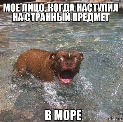 ����� ������ ����� �������.