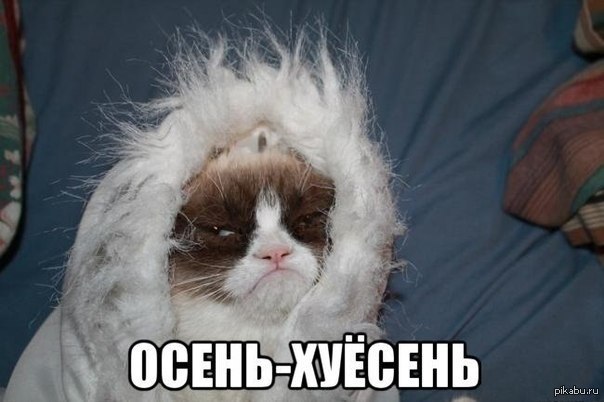       )) 