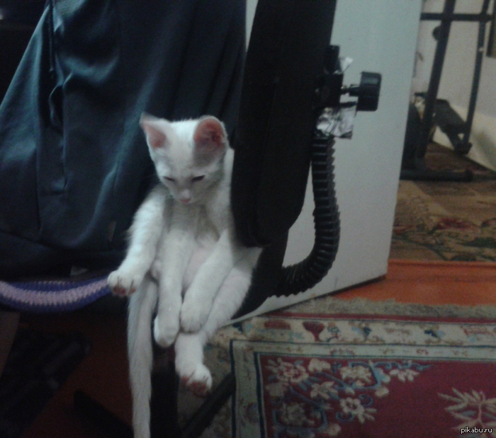 ��� �������� ���