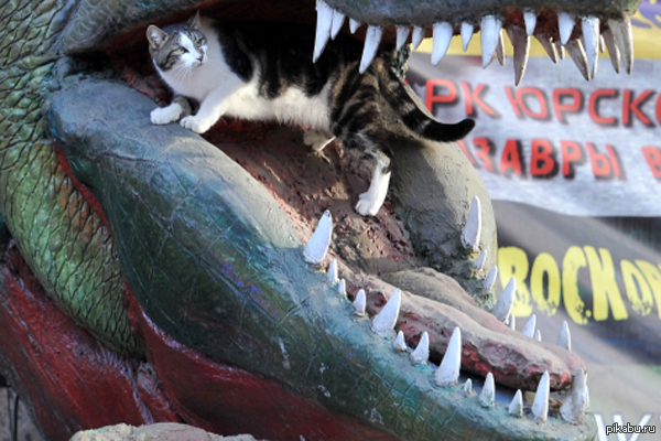 Прекрасное утро, чтобы быть съеденным...