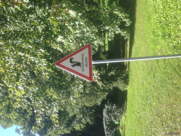 ���� ����� ��� ����� �����������