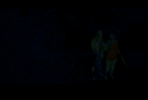 Dancing Ewok Gif