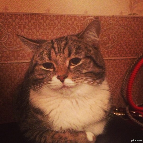 ��� ����...