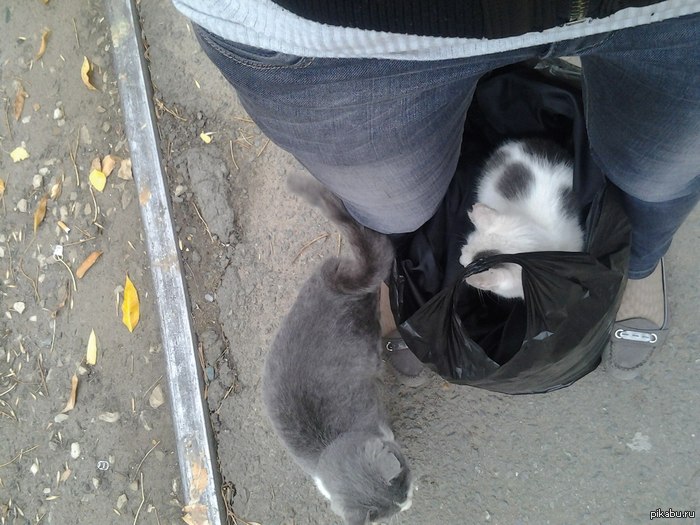 ���� ������� � ���� ����� ������� ������ ������� ��� � �����) ����� � �����, ���� ������� ������ - ������ ��������) ���������� ���� ��������