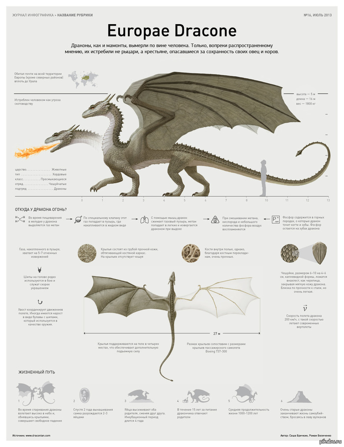 Dragon infographics - Infographics, The Dragon, Interesting