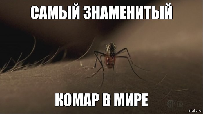 Умер молодым