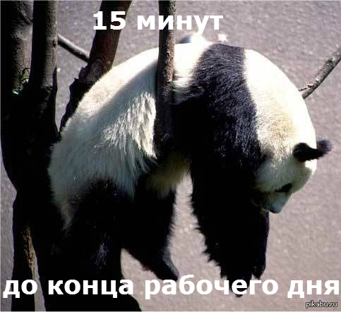     <a href="http://pikabu.ru/story/tak_i_est__1548005">http://pikabu.ru/story/_1548005</a>