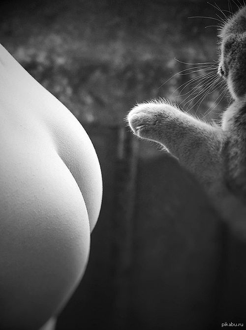 soft touch - NSFW, cat, Booty, Tenderness