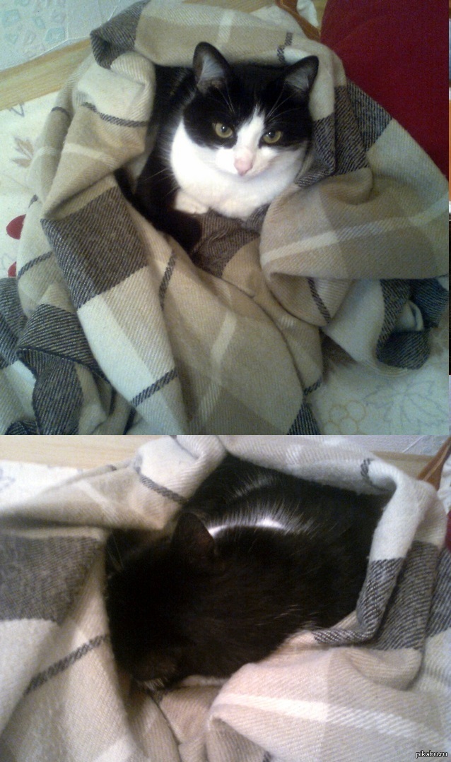 ���� ������. �� ����, ��� � ��� � ������, � � ��� ���� ��������, ��� �� �����) :3