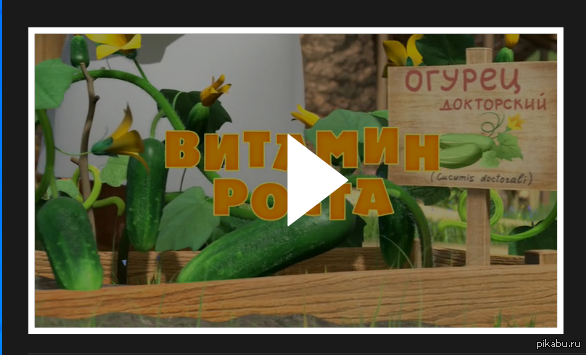 ������ ����������